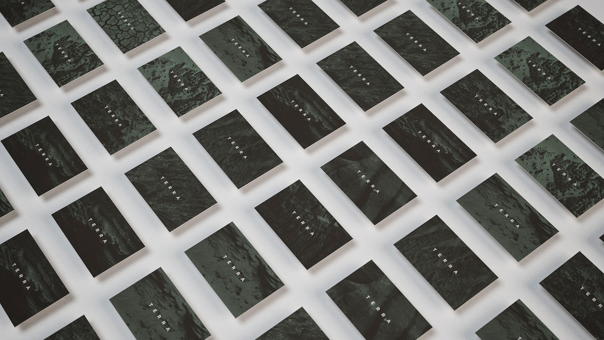 Terra Business Card