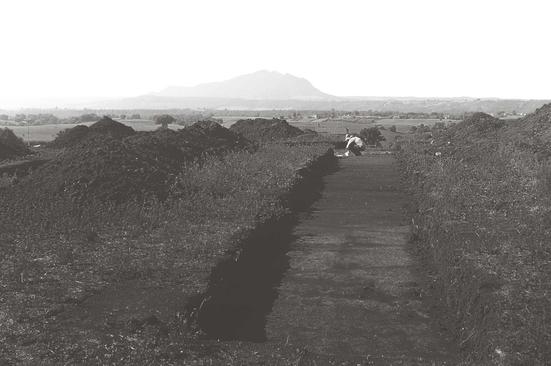 Terra Photo