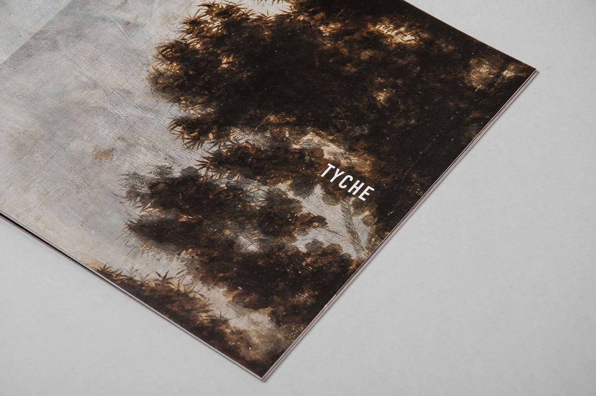 Tyche Brochure