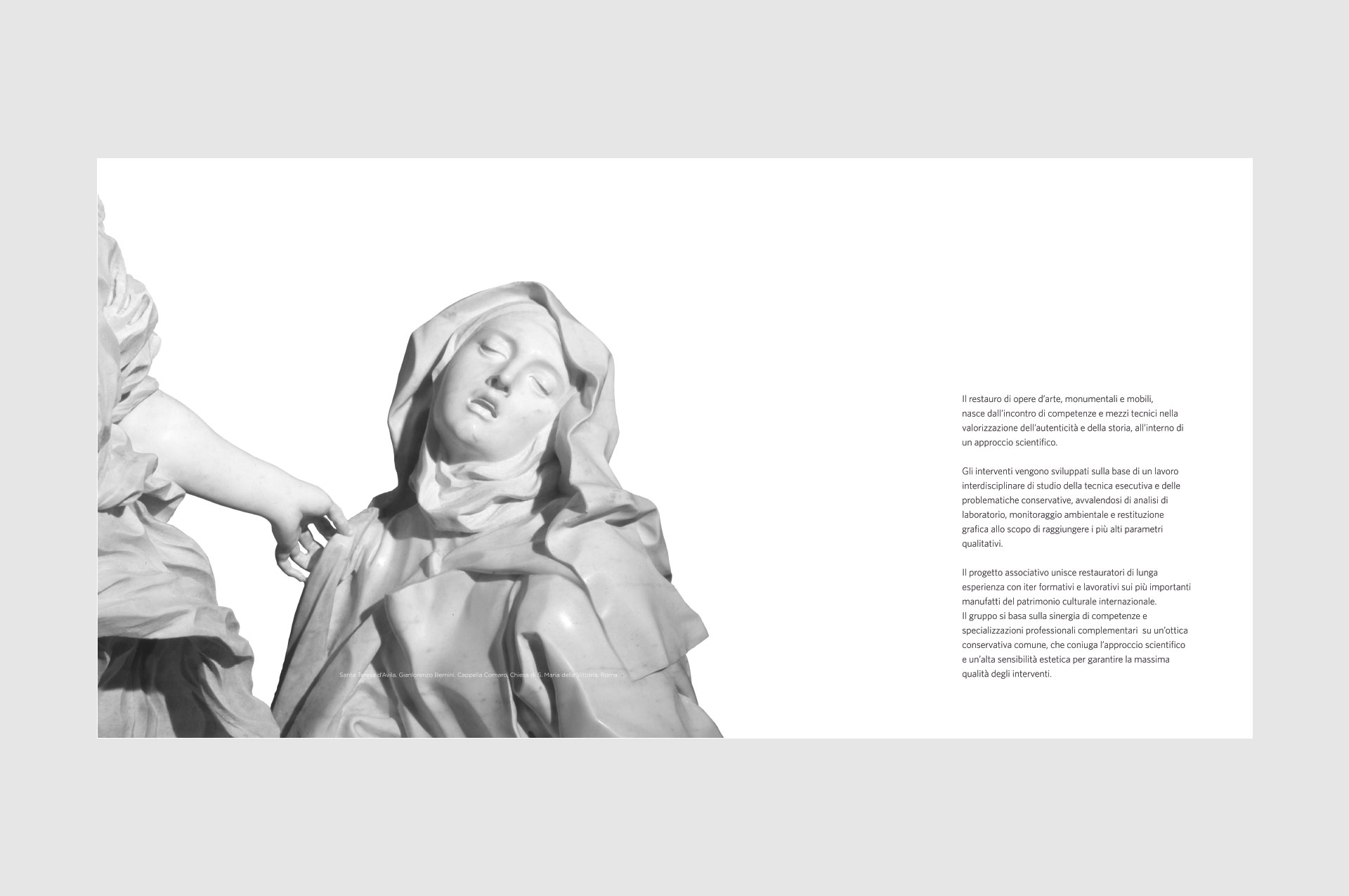 Tyche Brochure Pages